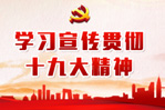 新闻中心-9393体育